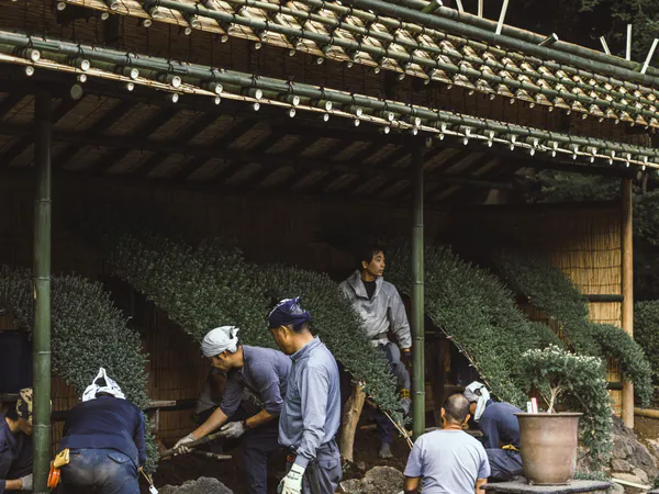 CO2-Abfallintegration